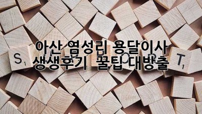 아산 염성리 용달이사 생생후기! 🚚💨 꿀팁 대방출!