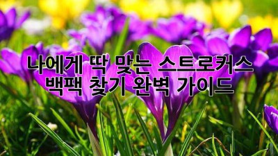 나에게 딱 맞는 스트로커스 백팩 찾기 완벽 가이드